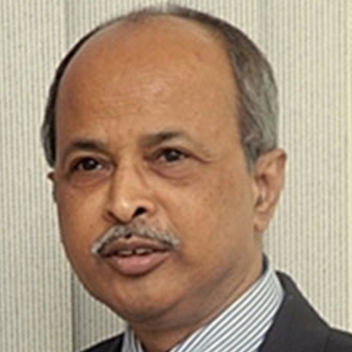 Prof Kalyan S Ray